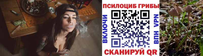Псилоцибиновые грибы ЛСД  Купить закладки  Белый 